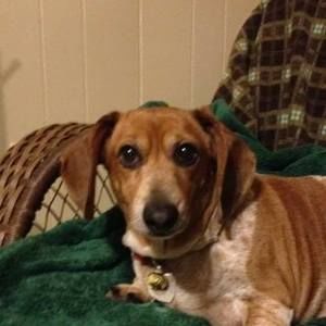 Meet your Posher, Aprilie mai